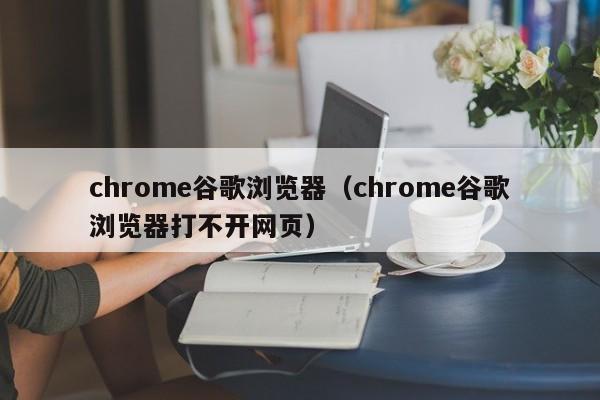 chrome谷歌浏览器（chrome谷歌浏览器打不开网页）