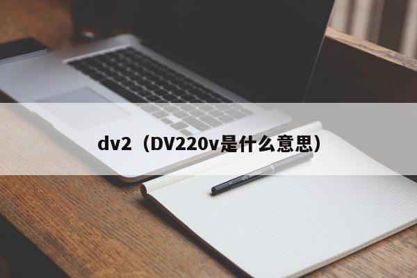 dv2（DV220v是什么意思）