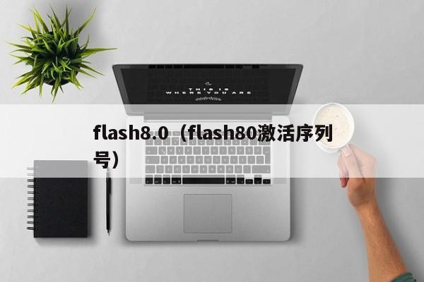 flash8.0（flash80激活序列号）